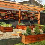 7 Landscaping Ideas Which Require Minimal Maintenance